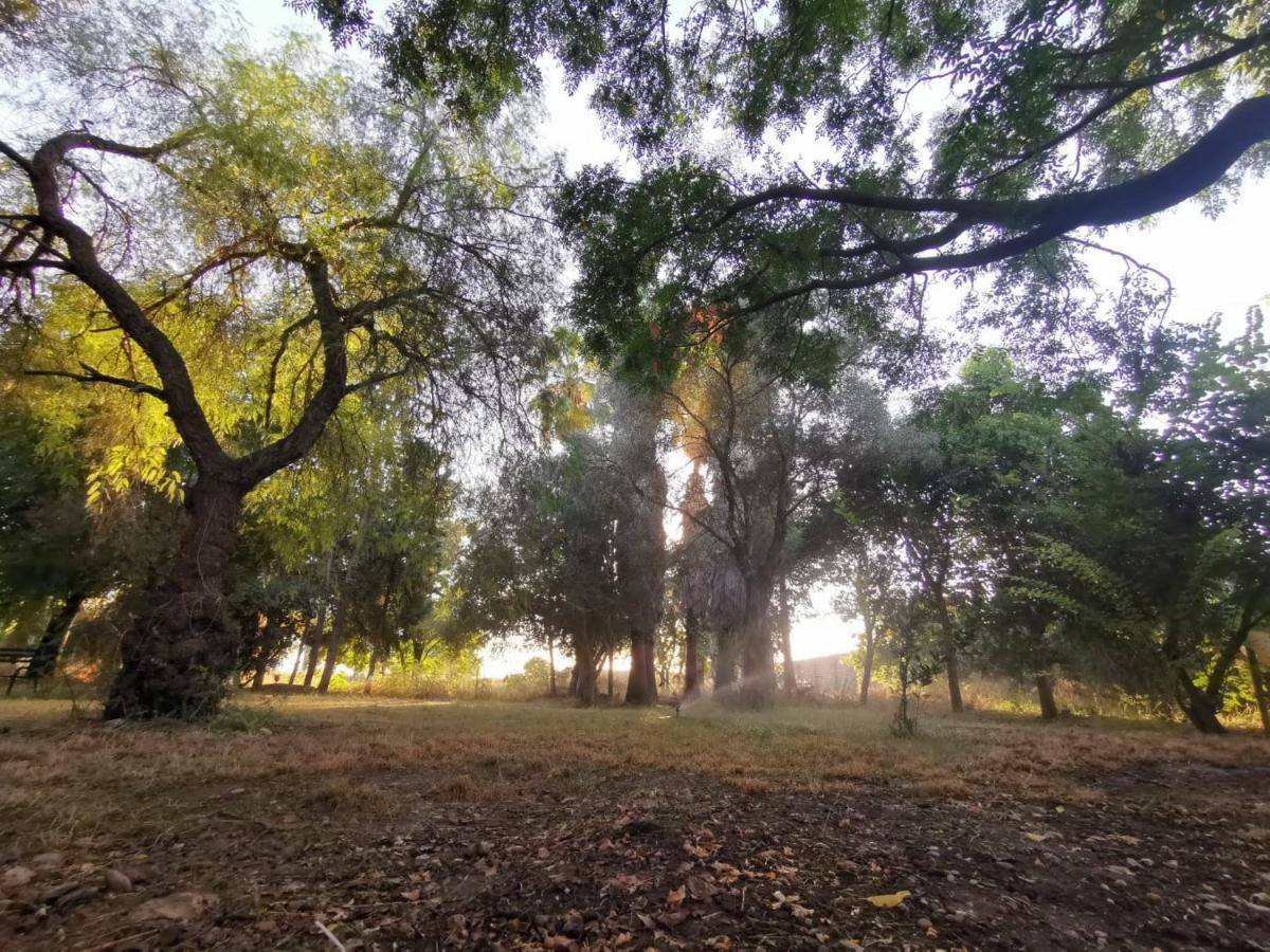 Finca El Naranjo Βίλα Σεβίλλη Εξωτερικό φωτογραφία